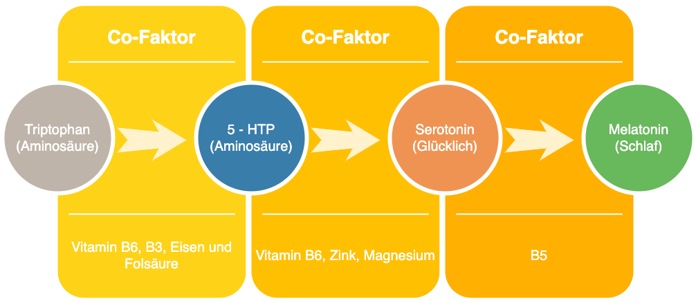 Die Zusammenhänge von guter Ernährung